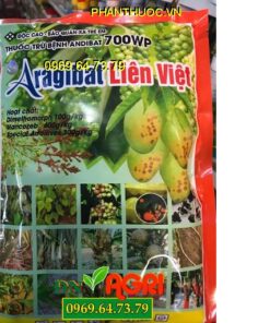 ARAGIBAT LIÊN VIỆT – Ngăn Sự Hình Thành Bào Tử Nấm Gây Nhiễm Bệnh