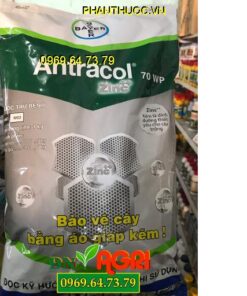 ANTRACOL 70WP Zinc -Ngừa Các Bệnh Do Nấm-Tăng Cường Dinh Dưỡng Cho Cây