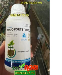 BANJO FORTE 400SC- Sạch Bệnh, Sung Cây, Hạn Chế Rửa Trôi