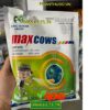 HODA 690WP MAXCOWS- Đặc Trị Thán Thư Trên Xoài