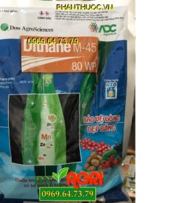 DITHANE M45 80WP – Đặc Trị Mốc Sương, Thán Thư, Rỉ Sắt, Đạo Ôn, Nấm Bệnh