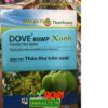 DOVE 80WP XANH – Đặc Trị Thán Thư Trên Xoài – Bám Dính Rất Tốt