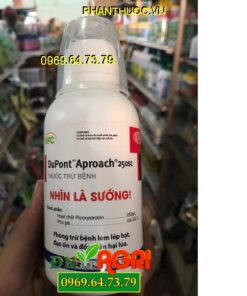 DUPONT APROACH 250SC-Đặc Trị Lem Lép Hạt-Lúa Vô Gạo Nhanh-Sáng Chắc