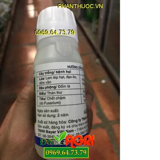 FOLICUR 250EW – THUỐC TRỪ NẤM BỆNH CHO CÂY TRỒNG