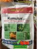 KUMULUS 80WG – Đặc Trị Phấn Trắng Ghẻ Sẹo, Nhện Đỏ, Nhện Gié