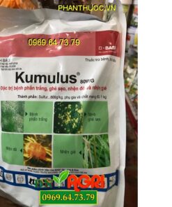 KUMULUS 80WG – Đặc Trị Phấn Trắng Ghẻ Sẹo, Nhện Đỏ, Nhện Gié