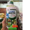 THUỐC TRỪ BỆNH LEENER 66SC – ĐẶC TRỊ BỆNH VÀNG LÁ, PHẤN TRẮNG, RỈ SẮT, ĐỐM LÁ