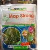 MAP STRONG 3WP – ĐẶC TRỊ BỆNH DO VI KHUẨN GÂY HẠI CHO CÂY TRỒNG 10GR