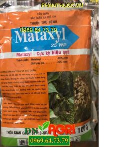 MATAXYL 25WP – Thuốc Đặc Trị Nấm Bệnh, Lưu Dẫn 2 Chiều Rất Hiệu Quả