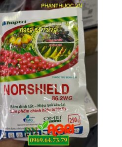 NORSHIELD 86.2WG (ĐỒNG ĐỎ) – THUỐC ĐẶC TRỊ BỆNH NỨT THÂN, XÌ MỦ TRÊN CÂY TRỒNG