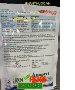 NORSHIELD 86.2WG (ĐỒNG ĐỎ) – THUỐC ĐẶC TRỊ BỆNH NỨT THÂN, XÌ MỦ TRÊN CÂY TRỒNG