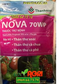 THUỐC TRỪ NẤM BỆNH NOVA 70WP – ĐẶC TRỊ BỆNH THÁN THƯ TRÊN CÂY TRỒNG