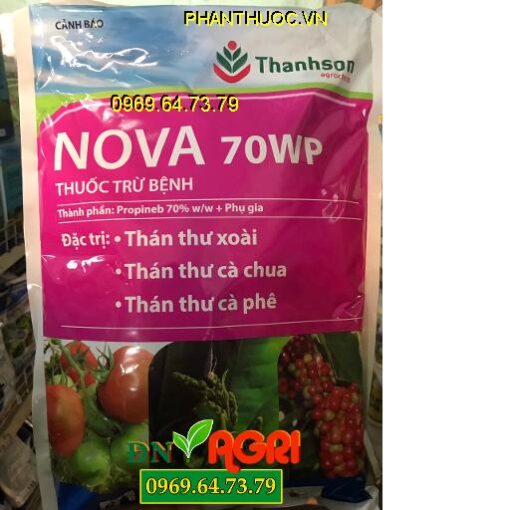 THUỐC TRỪ NẤM BỆNH NOVA 70WP – ĐẶC TRỊ BỆNH THÁN THƯ TRÊN CÂY TRỒNG