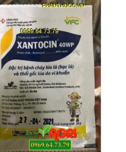 XANTOCIN 40WP – Đặc Trị Bệnh Cháy Bìa Lá Và Thối Gốc Do Vi Khuẩn