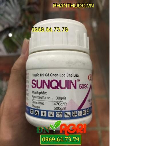 SUNQUIN 50SC – Trừ Cỏ Chọn Lọc Cho Lúa – Thấm Nhanh Qua Rễ Lá