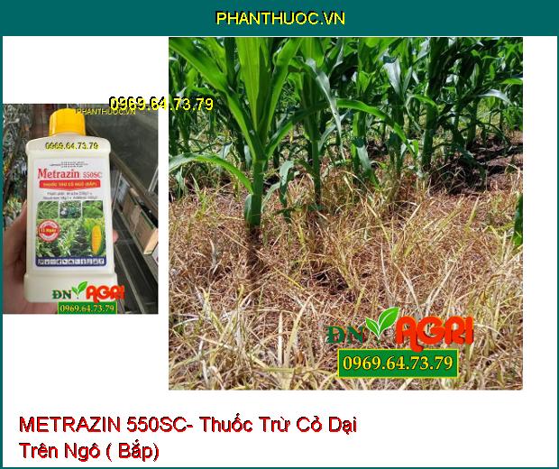 METRAZIN 550SC- Thuốc Trừ Cỏ Dại Trên Ngô ( Bắp)