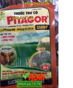 PITAGOR 55WP – Đặc Trị Cỏ Đuôi Phụng, Cỏ Lồng Vực, Cỏ Lá Rộng