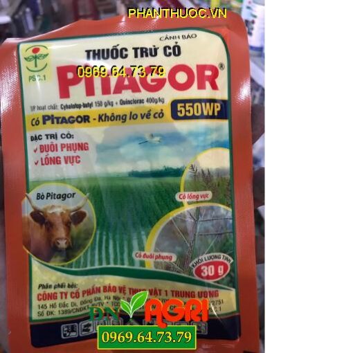 PITAGOR 55WP – Đặc Trị Cỏ Đuôi Phụng, Cỏ Lồng Vực, Cỏ Lá Rộng