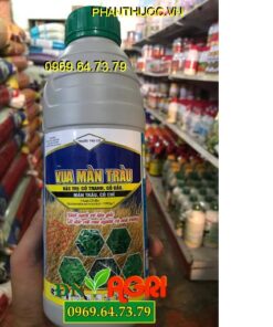 VUA MẦN TRẦU – Đặc Trị Cỏ Tranh Cỏ Gấu, Mần Trầu Cỏ Chỉ