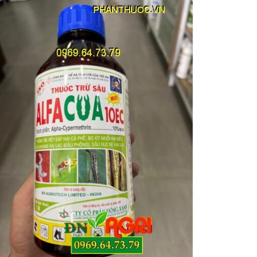 ALFACUA 10EC – THUỐC ĐẶC TRỊ RỆP SÁP, BỌ XÍT MUỖI TRÊN CÂY TRỒNG