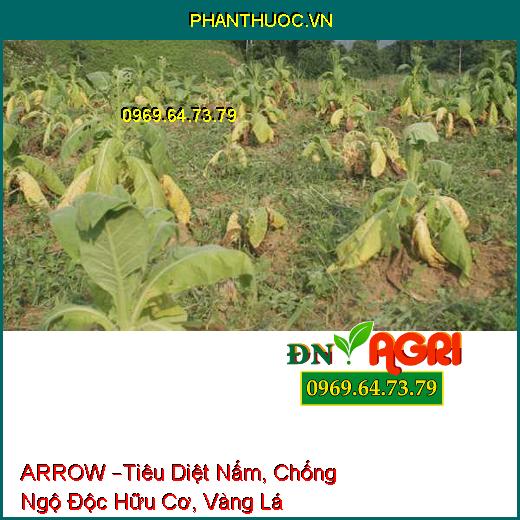 PHÂN BÓN LÁ HỖN HỢP ARROW –Tiêu Diệt Nấm, Chống Ngộ Độc Hữu Cơ, Vàng Lá