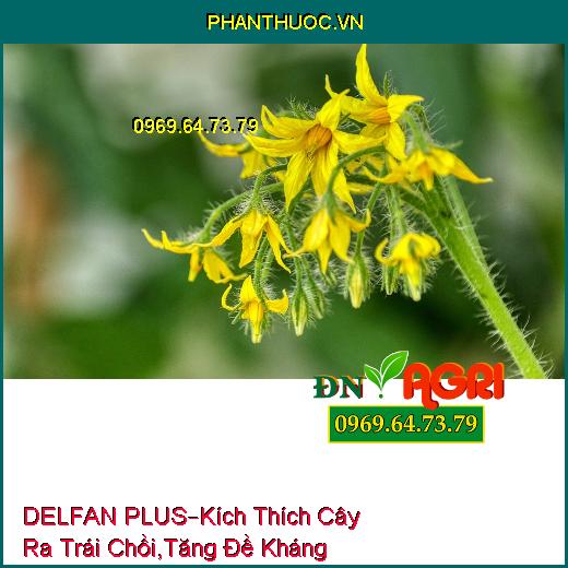 PHÂN BÓN LÁ CAO CẤP DELFAN PLUS– Kích Thích Cây Ra Hạt Trái Chồi, Tăng Đề Kháng