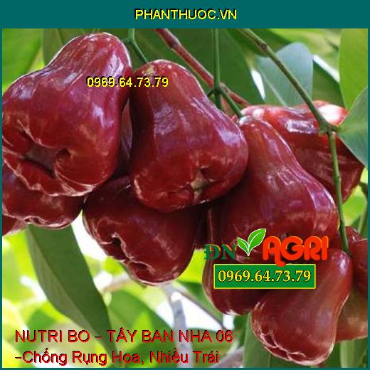 NUTRI BO – TÂY BAN NHA 06 –Chống Rụng Hoa, Trái Non, Mập Bông, Trái Lớn