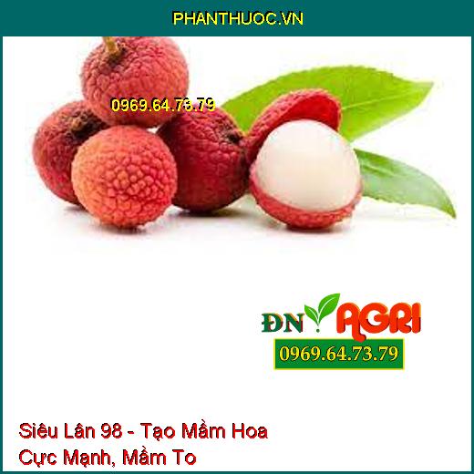 Siêu Lân 98 - Tạo Mầm Hoa Cực Mạnh, Mầm To