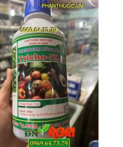 TRICHODERMA NÔNG LÂM SC – Đặc Trị Bệnh Nấm Héo Xanh -Héo Rủ -Lở Cổ Rễ