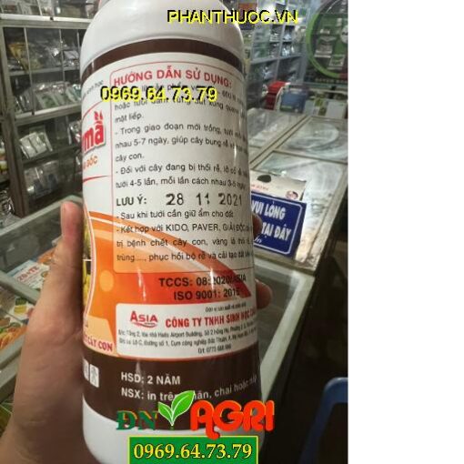 RICHODERMA- Phòng Thối Trái, Vàng Lá, Chống Chết Cây Con