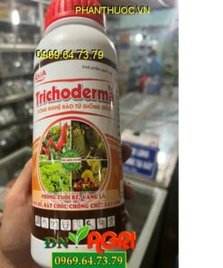 RICHODERMA- Phòng Thối Trái, Vàng Lá, Chống Chết Cây Con