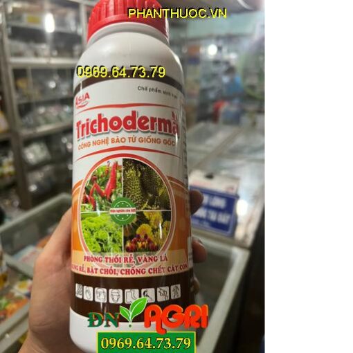 RICHODERMA- Phòng Thối Trái, Vàng Lá, Chống Chết Cây Con