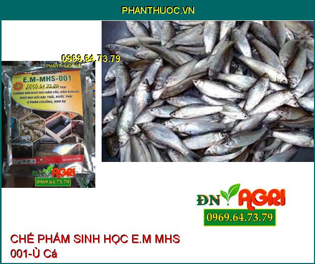 CHẾ PHẨM SINH HỌC E.M MHS 001-Khử Mùi Hôi, Phân Giải Chất Hữu Cơ