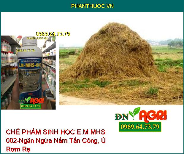 CHẾ PHẨM SINH HỌC E.M MHS 002-Ngăn Ngừa Nấm Tấn Công, Ủ Vỏ Cà Phê, Rơm, Cá