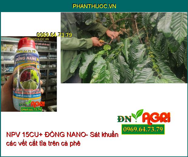 NPV 15CU+ ĐỒNG NANO- Sát Khuẩn Cực Mạnh, Bảo Vệ Cây Trồng Khỏi Héo Rủ