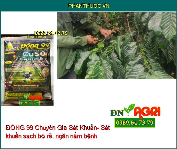 ĐỒNG 99 Chuyên Gia Sát Khuẩn- Phân Bón Dinh Dưỡng Cao Cấp Dùng Cho Mọi Loại Cây