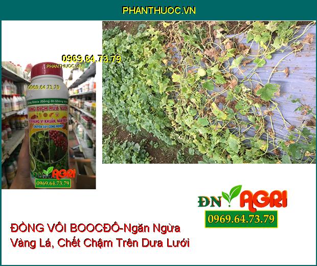 ĐỒNG BIMIX DUNG DỊCH ĐỒNG VÔI BOOCĐÔ-Ngăn Ngừa Vàng Lá, Tăng Năng Suất