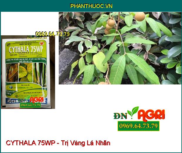 THUỐC TRỪ BỆNH CYTHALA 75WP - Trị Thán Thư, Rỉ Sắt, Giả Sương Mai, Phấn Trắng