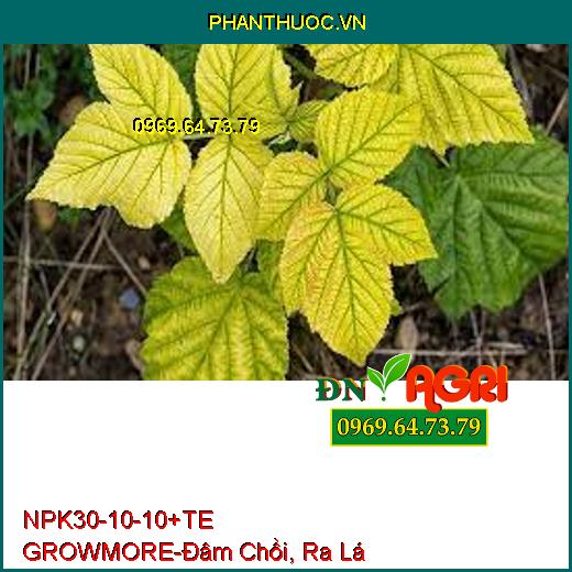 PHÂN BÓN LÁ NPK 30-10-10 +TE GROWMORE- Đẻ Nhánh, Đâm Chồi, Ra Lá Tốt