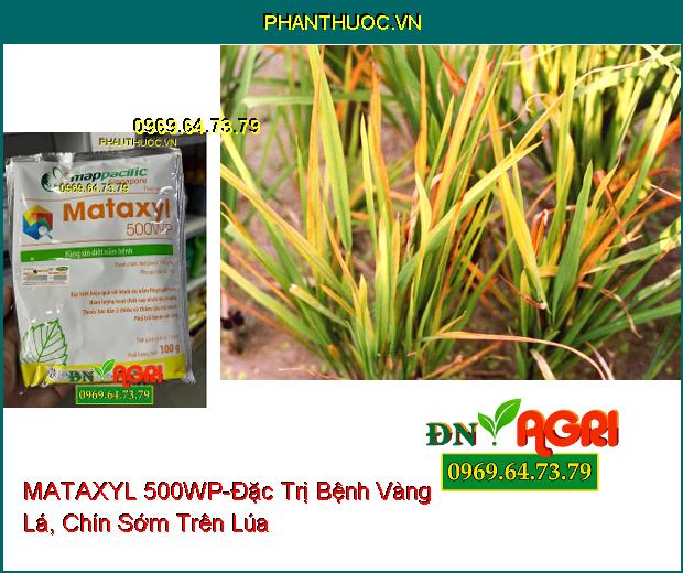 THUỐC TRỪ BỆNH MATAXYL 500WP- Thuốc Trừ Nấm, Lưu Dẫn Mạnh, Trị Cháy lá, Rỉ Sắt, Thán Thư