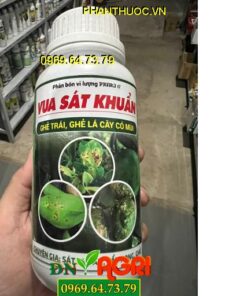 VUA SÁT KHUẨN- Đặc Trị Ghẻ Trái Ghẻ Lá Cây Có Múi