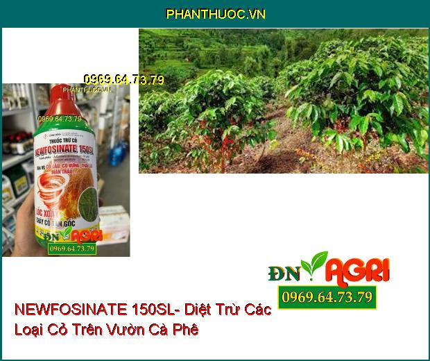 THUỐC TRỪ CỎ NEWFOSINATE 150SL- Trừ Cỏ Tận Gốc, Đặc Trị Cỏ Gấu, Cỏ Vừng, Thài Lài, Mần Trầu