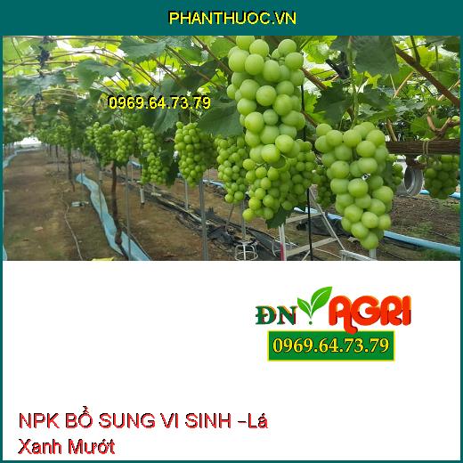 PHÂN BÓN NPK BỔ SUNG VI SINH –Lá Xanh Mướt, Bung Chồi Cực Mạnh, Tăng Năng Suất