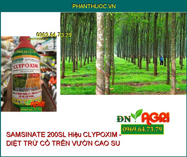 SAMSINATE 200SL Hiệu CLYPOXIM - Thuốc Trừ Cỏ Dại, Cỏ Vườn Cây Cao Su