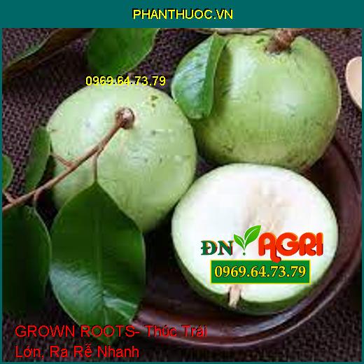 GROWN ROOTS- Thúc Trái Lớn, Ra Rễ Nhanh, Bung Đọt, Cải Tạo Đất