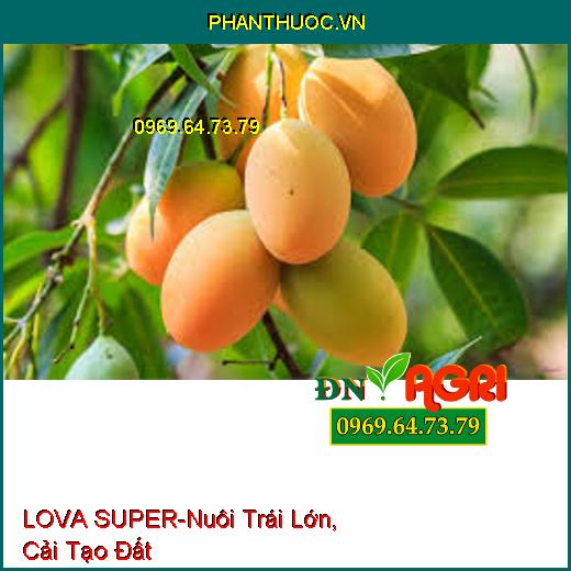 LOVA SUPER-Thúc Đẩy Sinh Trưởng, Nuôi Trái Lớn, Cải Tạo Đất