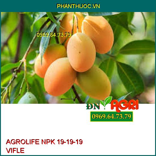 AGROLIFE NPK 19-19-19 VIFLE- Dưỡng Hoa, Nuôi Quả, Tăng Năng Xuất