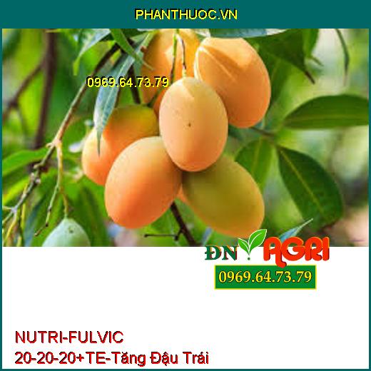 PHÂN BÓN HỖN HỢP NUTRI – FULVIC 20-20-20 + TE –Tăng Đậu Trái, Phục Hồi Cây