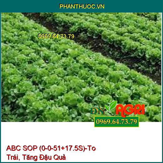 PHÂN BÓN PHỨC HỢP ABC SOP (0-0-51+17.5S)-To Trái, Cứng Cây, Tăng Đậu Quả