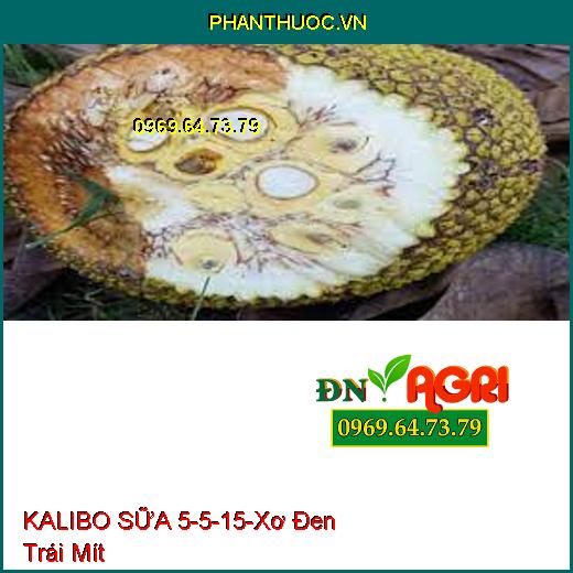 KALIBO SỮA 5-5-15 Dùng Cho MÍT- Lớn Trái Nhanh, Chống Sơ Đen, Đẹp Màu, Nặng Ký